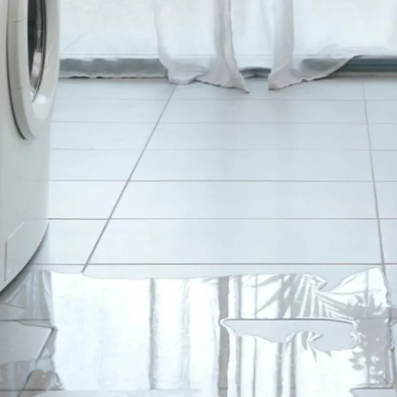 Appliance Leak Cleanup in Clarendon Hills, IL