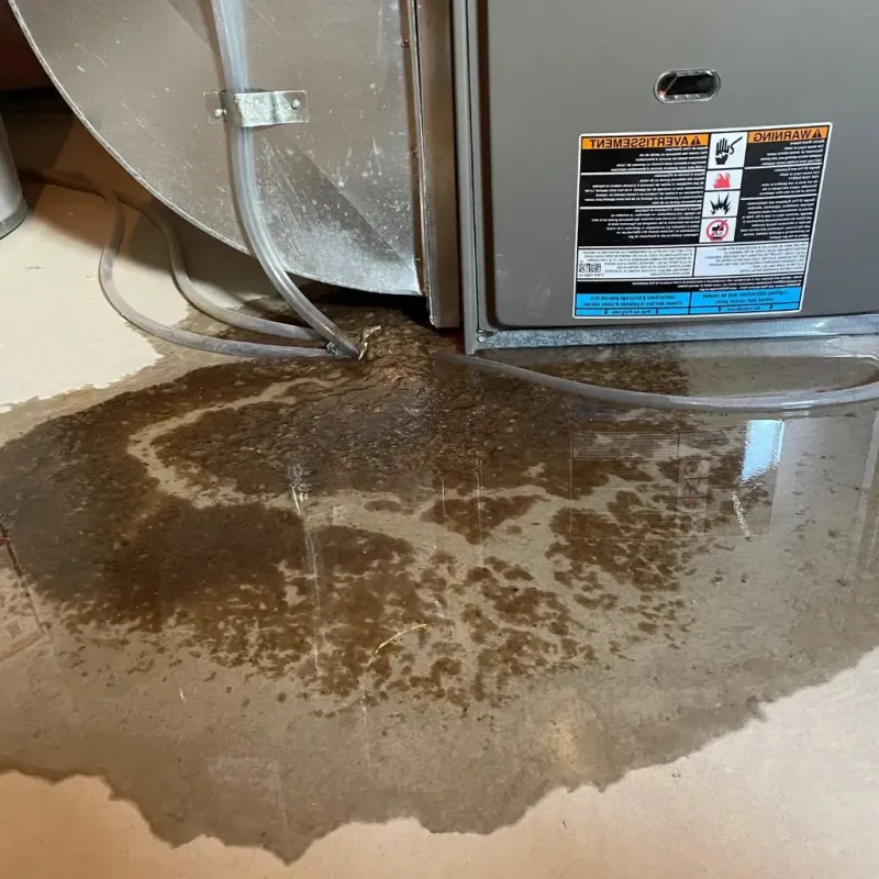 Pipe Burst and Leak Restoration in Clarendon Hills, IL